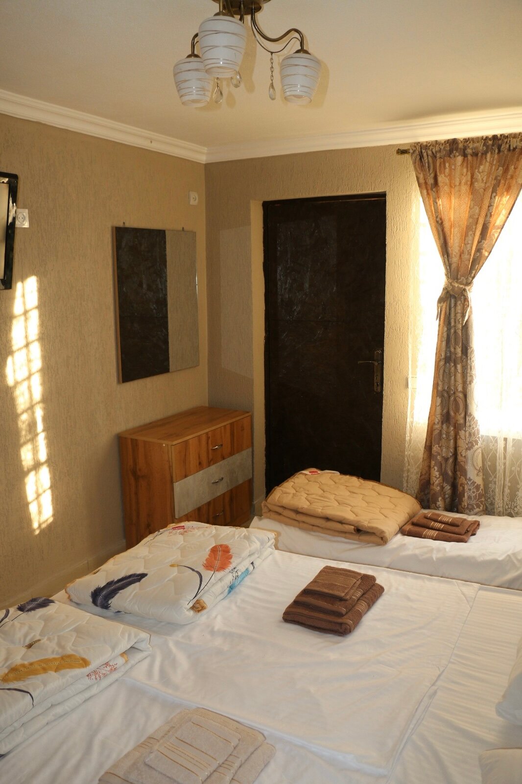 Фото Орхидея