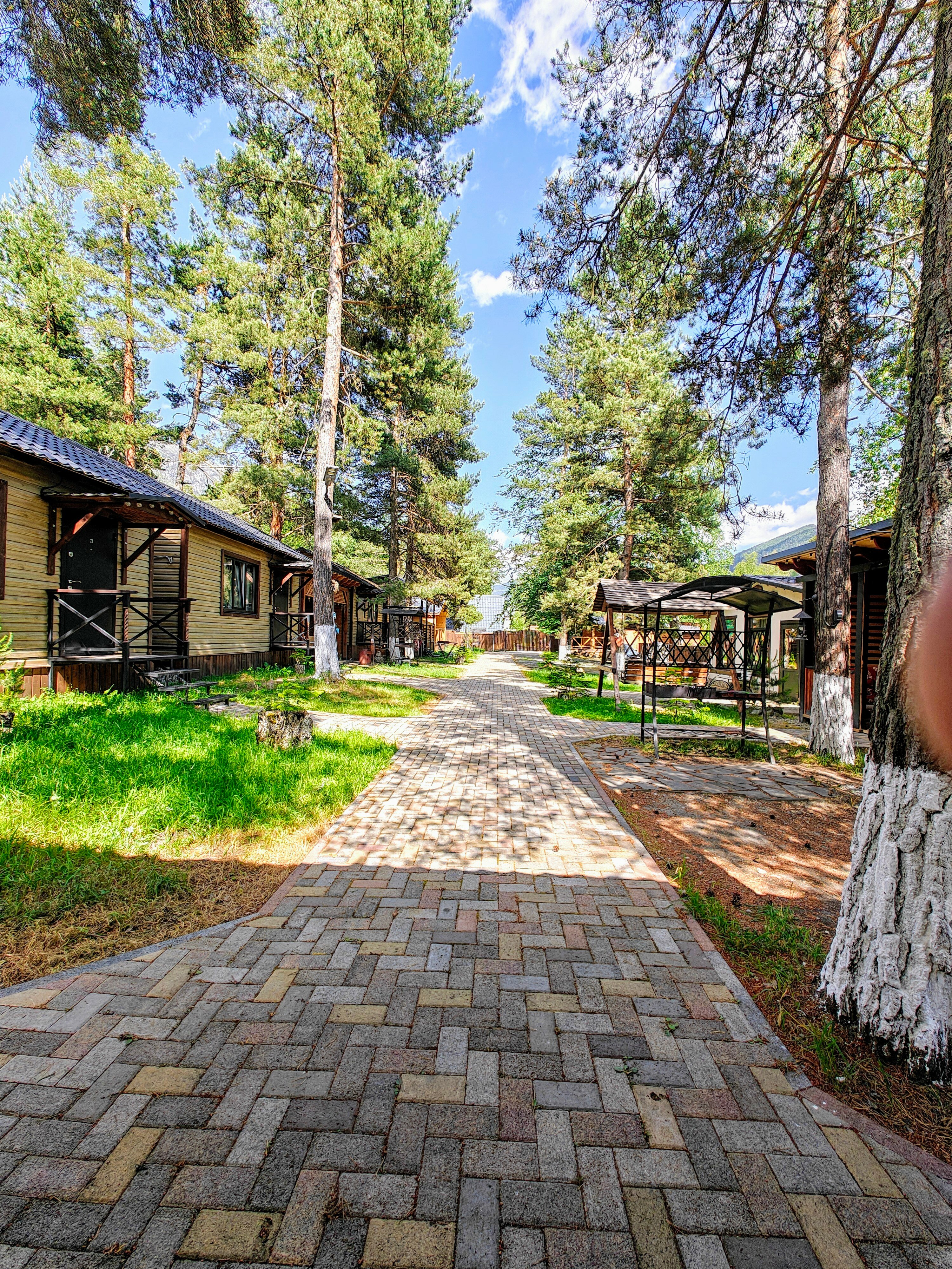 Фото Форест Хаус