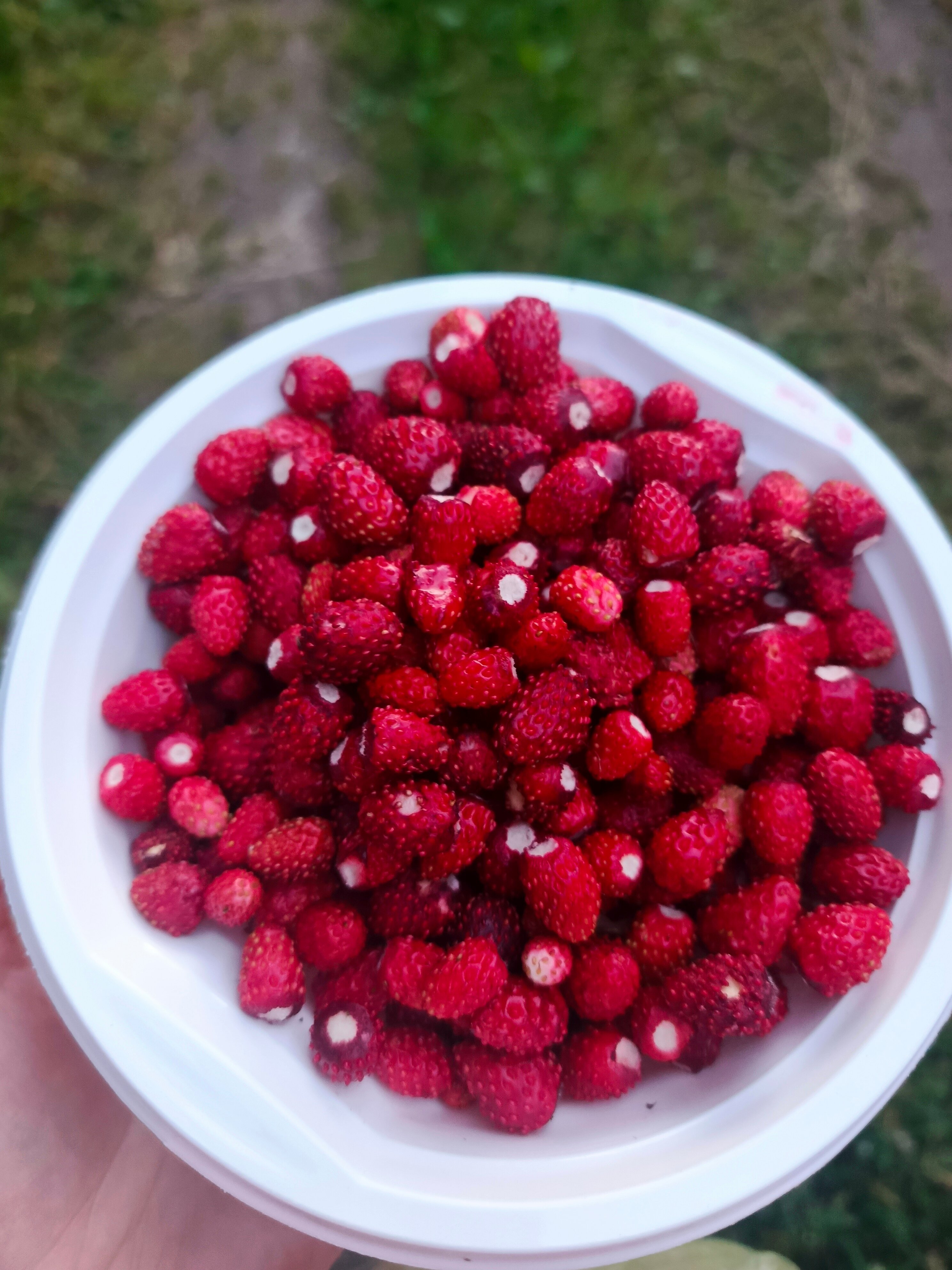 Фото Горы Море House