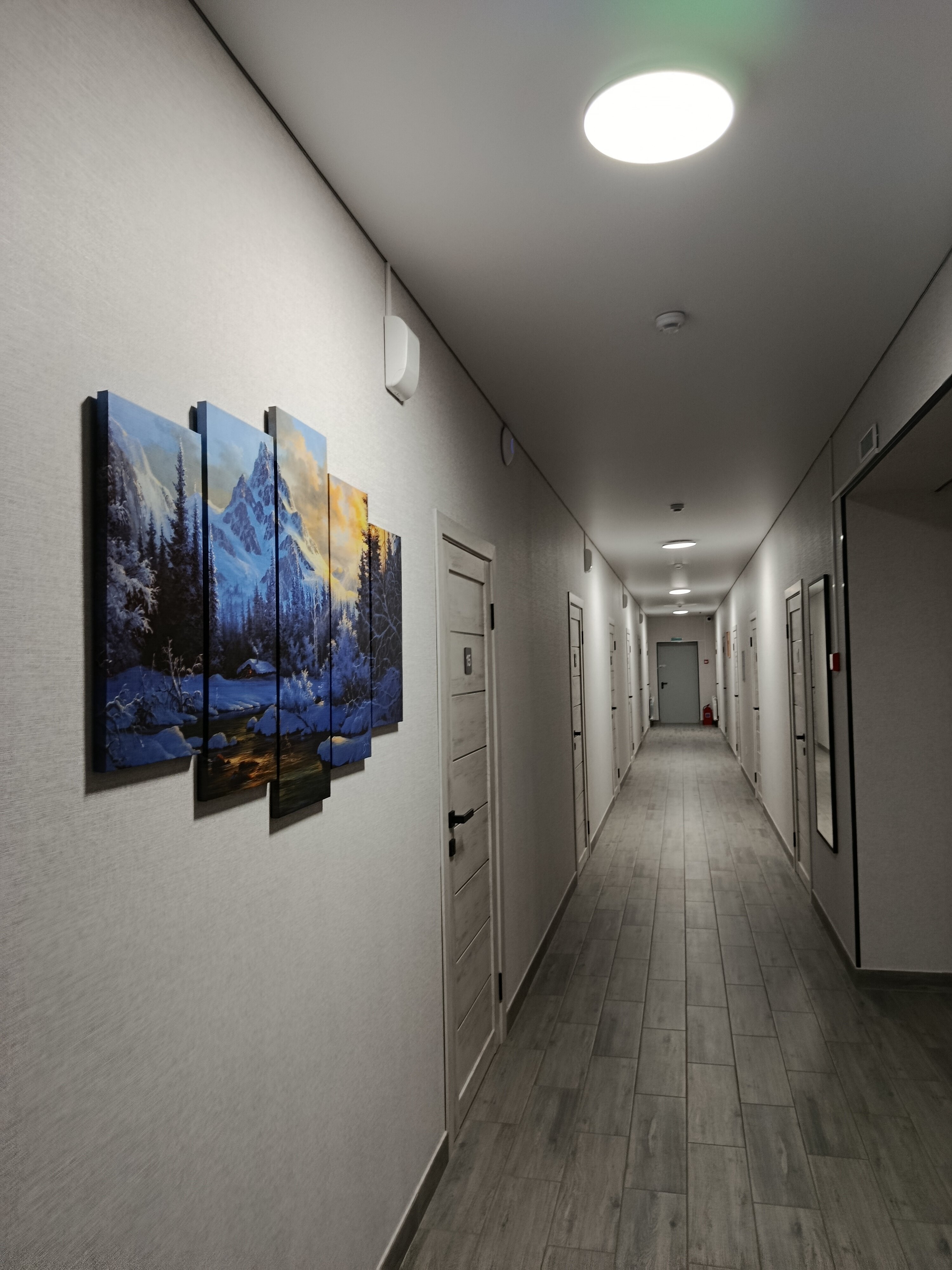 Фото Все Свои