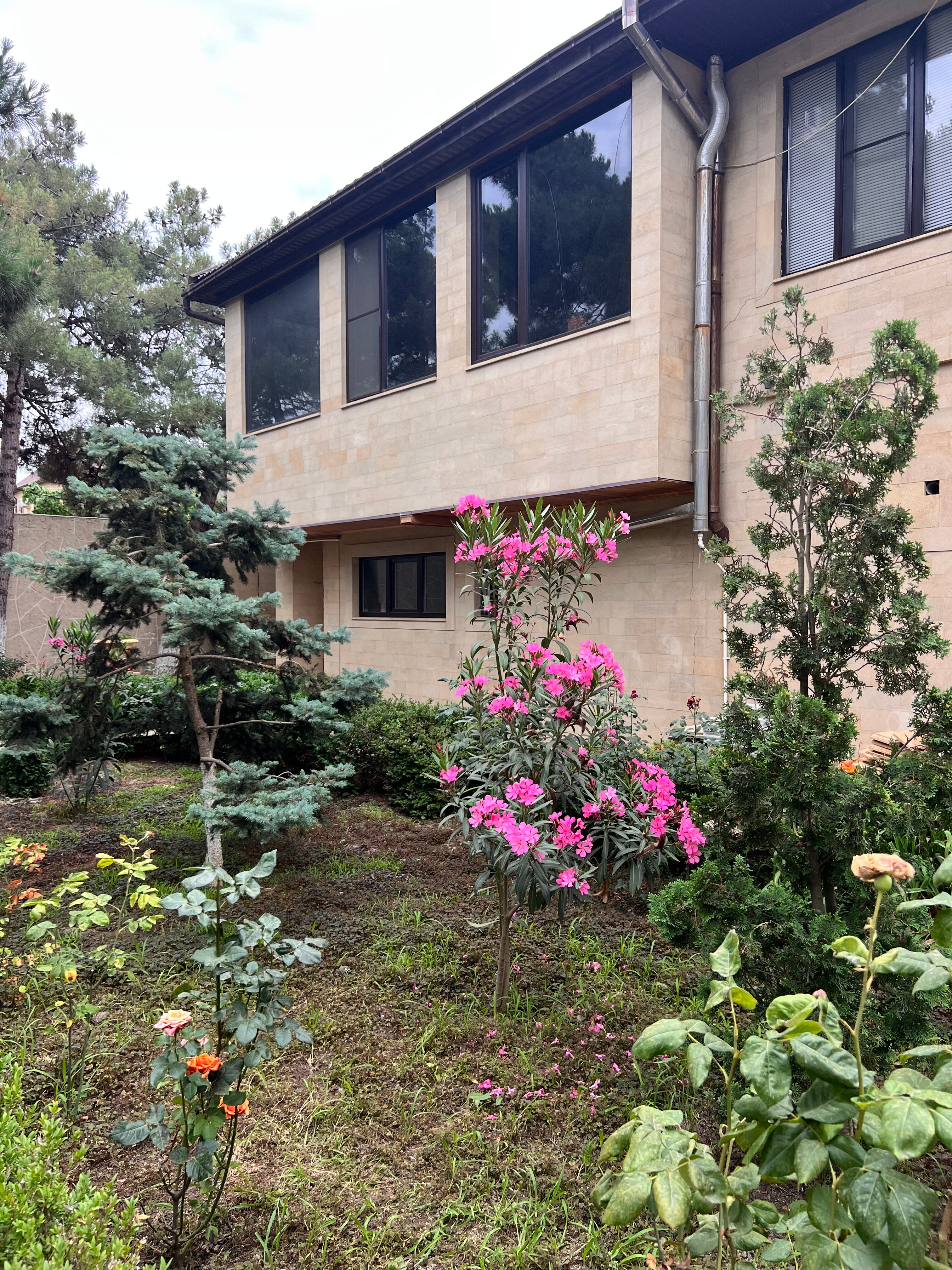 Фото Морской Бриз