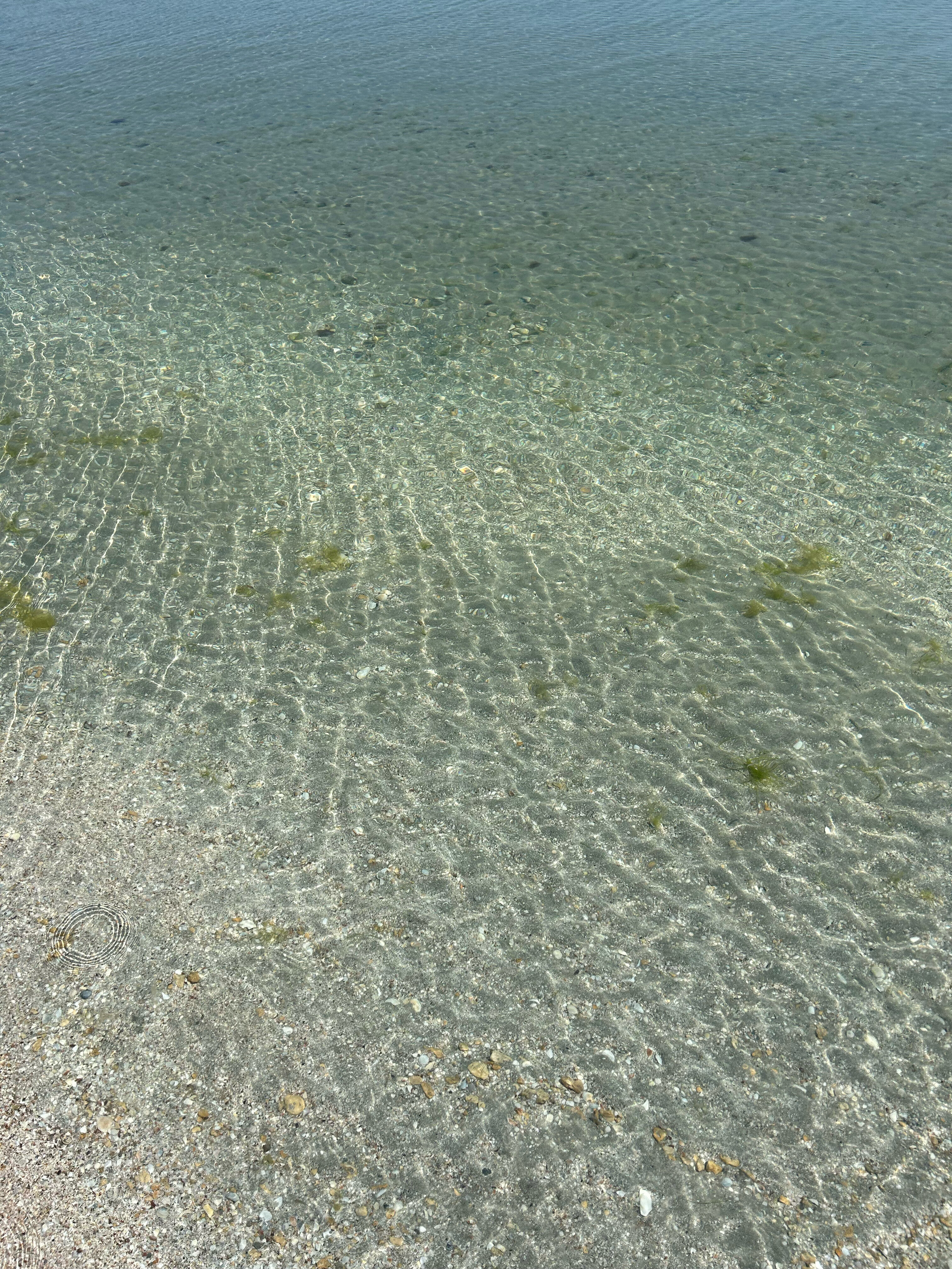 Фото Терра Теана