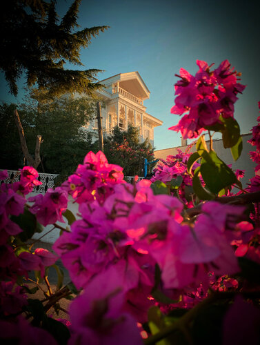 Гостиница Mansion Miliá в Адаларе