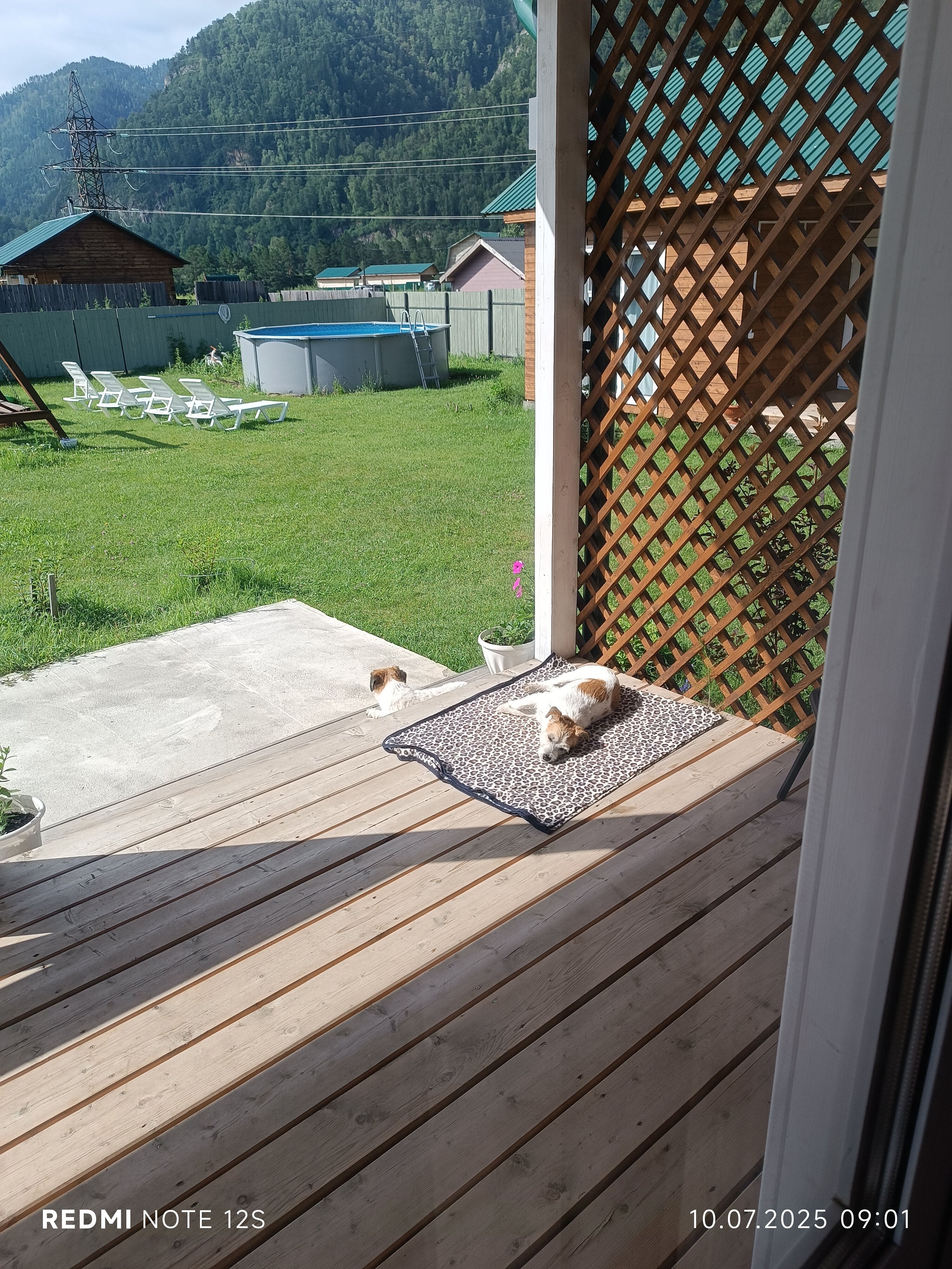 Фото Друзья