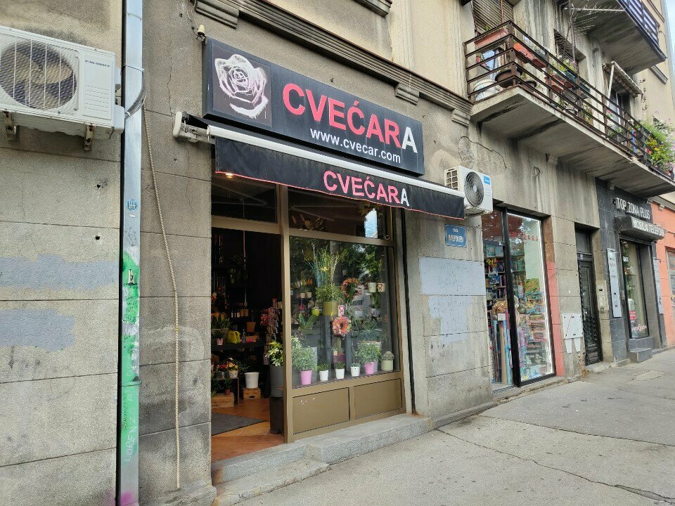 Flower shop Cvecara Cvecar, Belgrade, photo