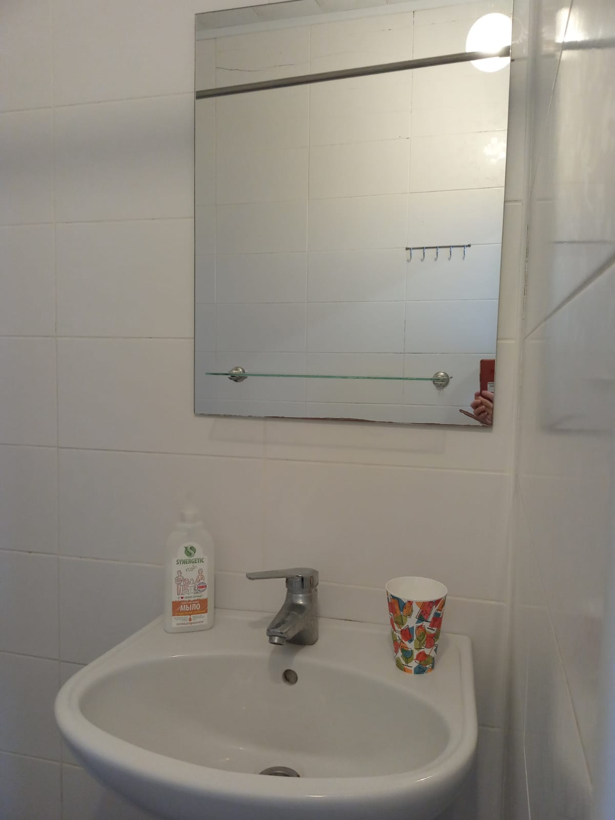 Фото Южный Платан