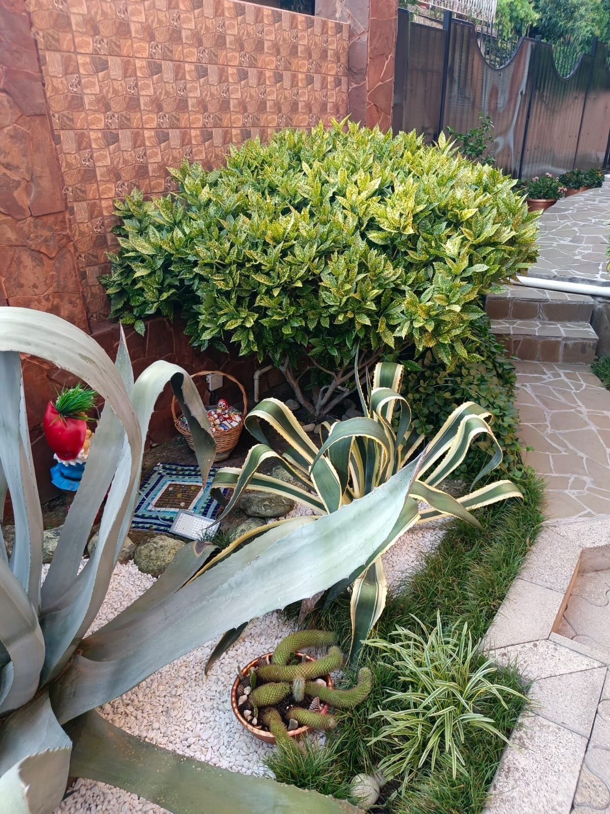 Фото Бамбуковый рай