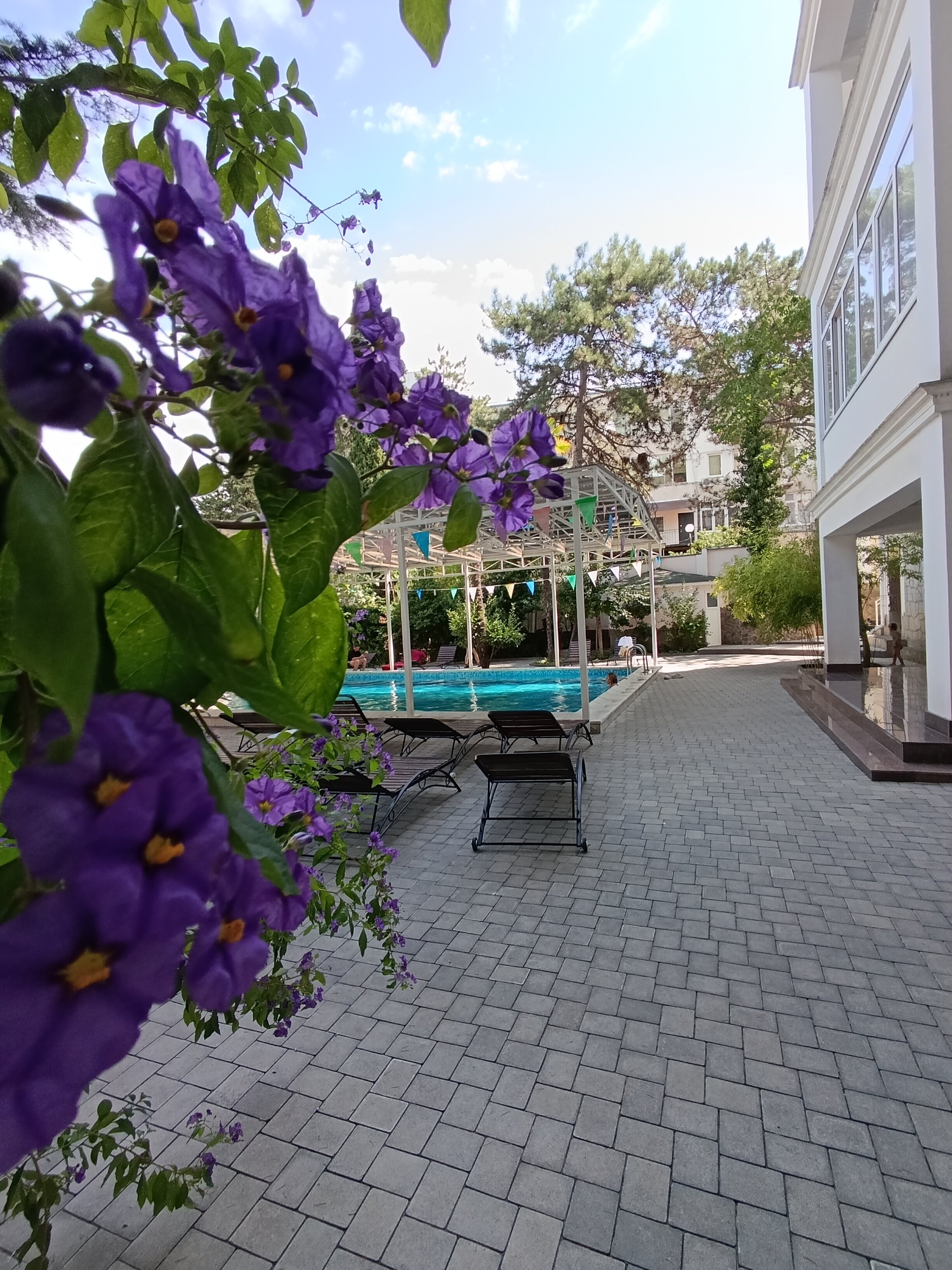 Фото Империал 2011