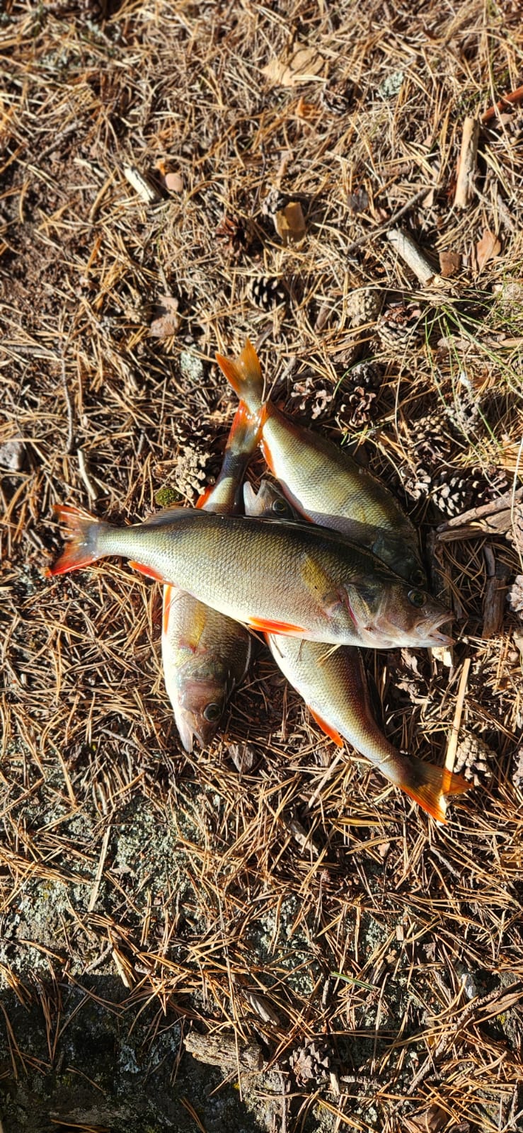 Фото Абракадабра