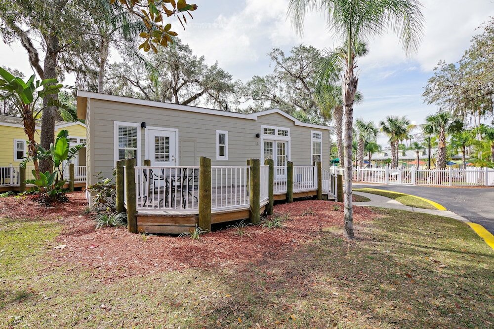 Фото Tropical Palms