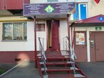 City Library № 3 (Khimikov Avenue, 72В), library