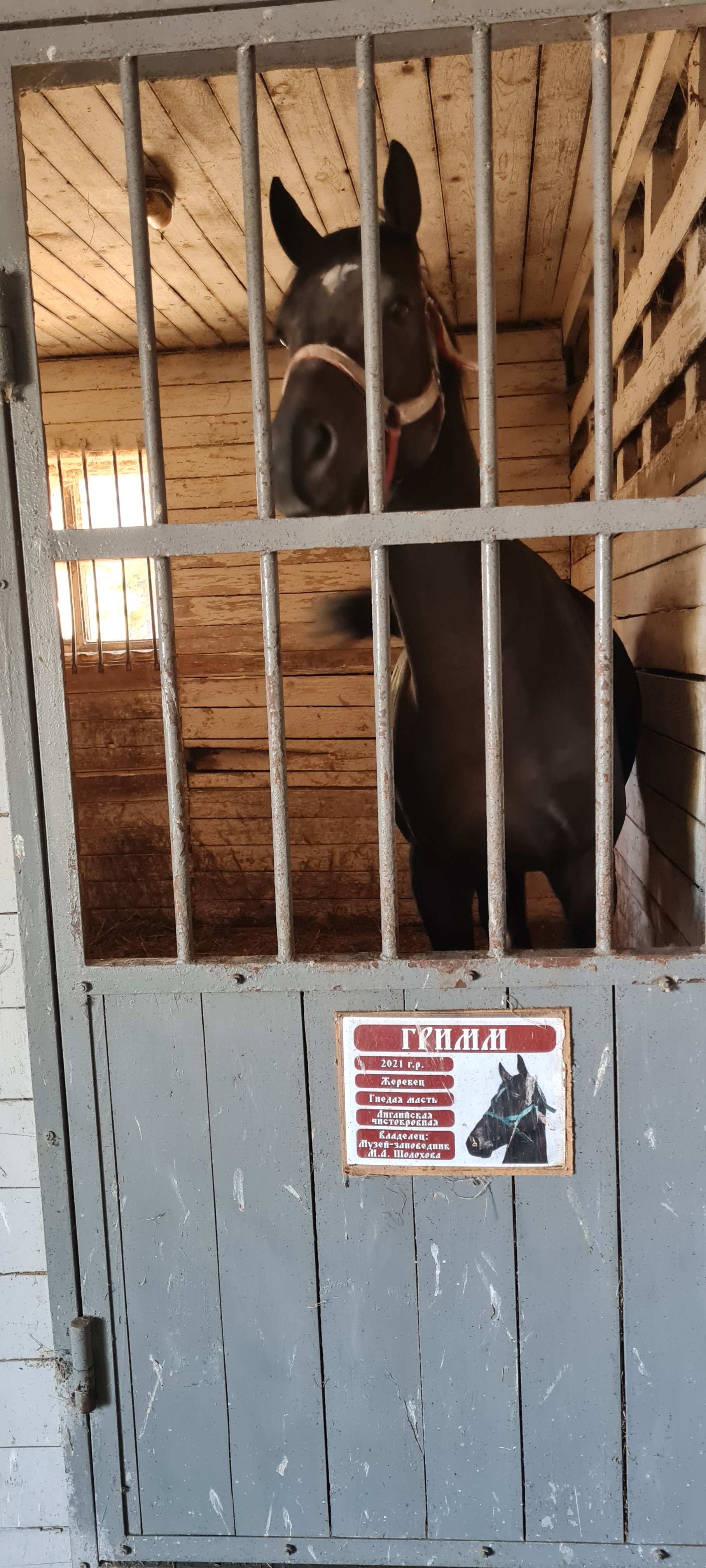 Фото Лесная