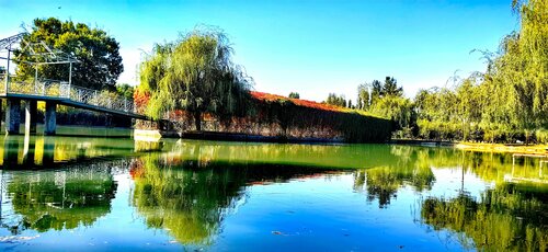 Sodovnik va uning shahvoniy bekasi