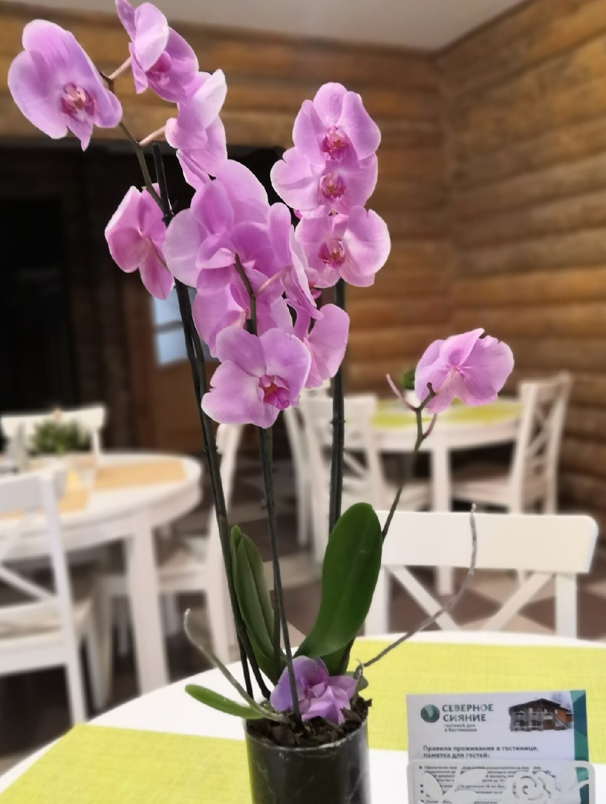 Фото Северное сияние