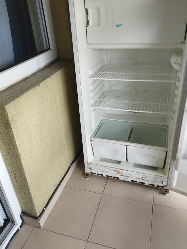 Фото Орхидея