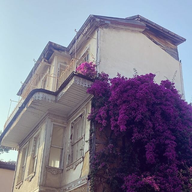 Psychological service Parlak Hayat Psychological Counseling Center, Istanbul, photo