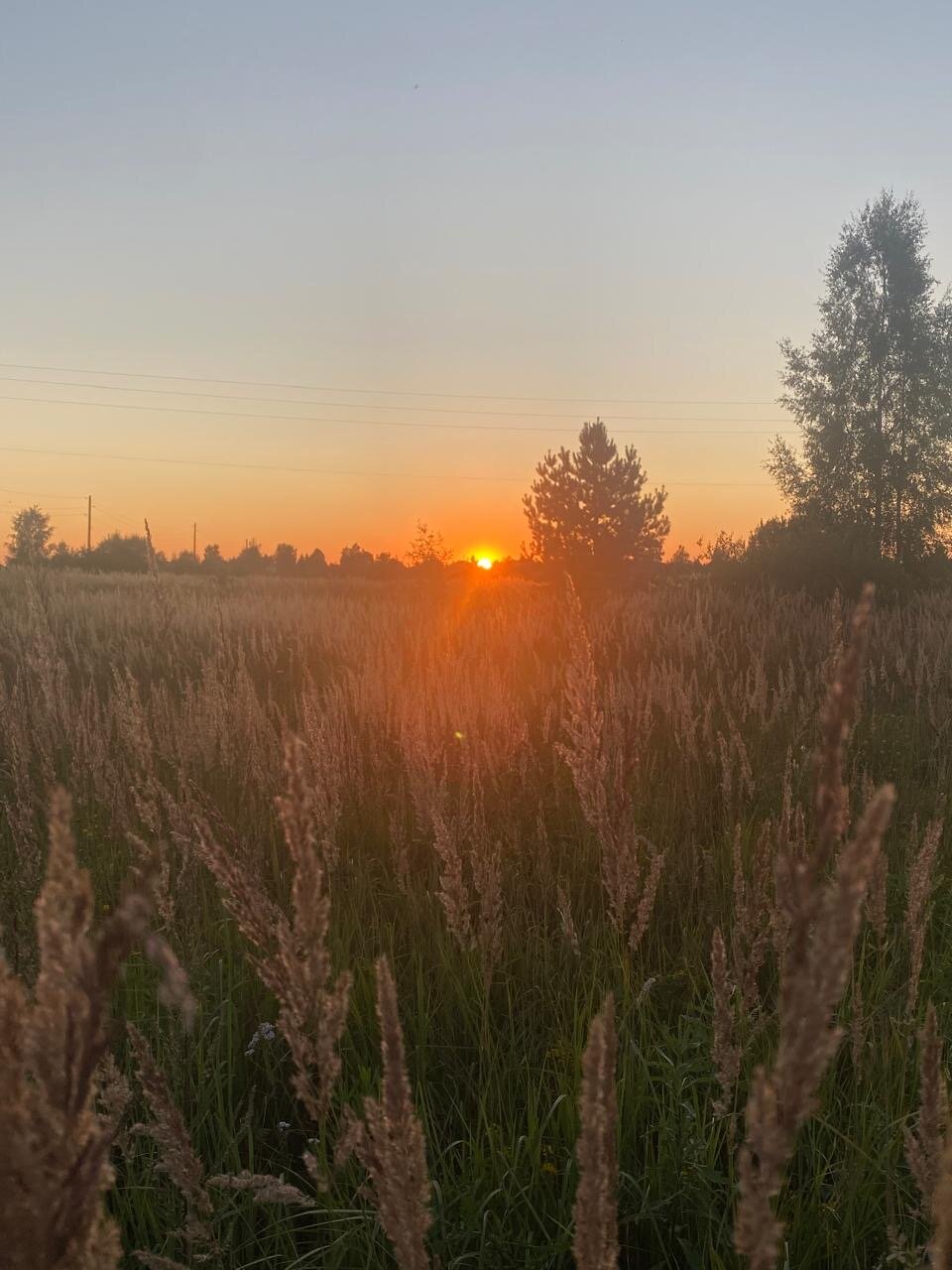 Фото Оазис Завидово