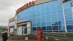 Speaker (Il'icha Avenue, 31), foreign language courses