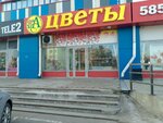 А Цветы (mikrorayon 12A, 42), flower shop
