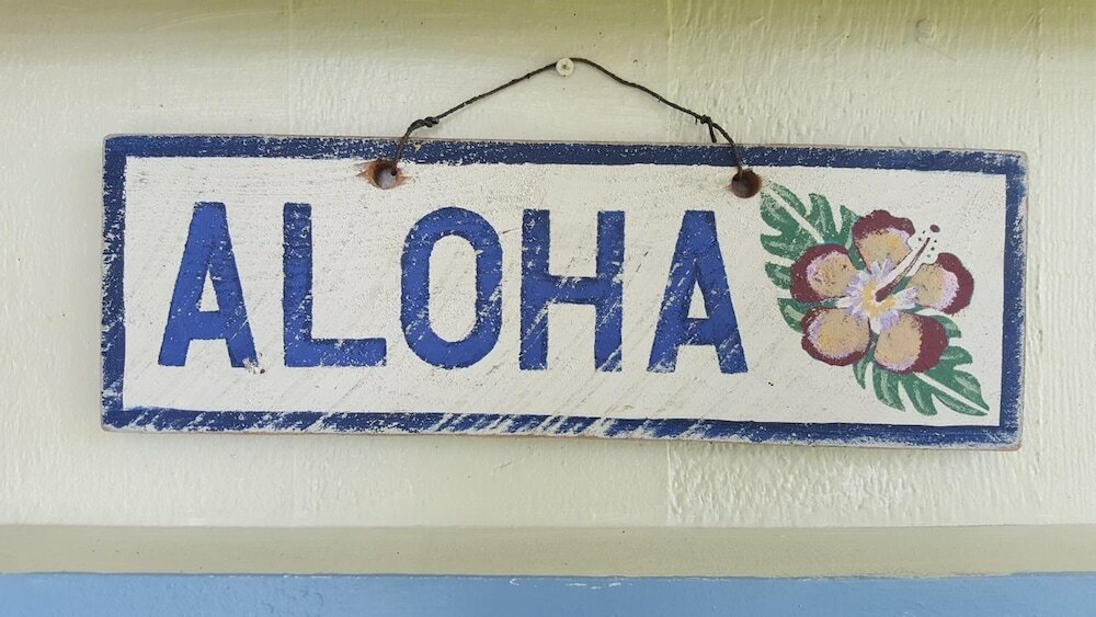 Фото Arnott's Lodge