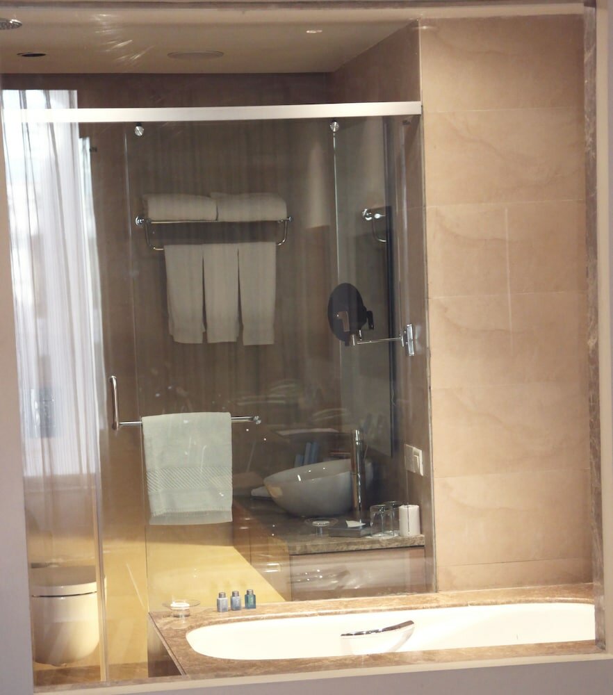 Фото Radisson Blu Hotel, New Delhi Dwarka