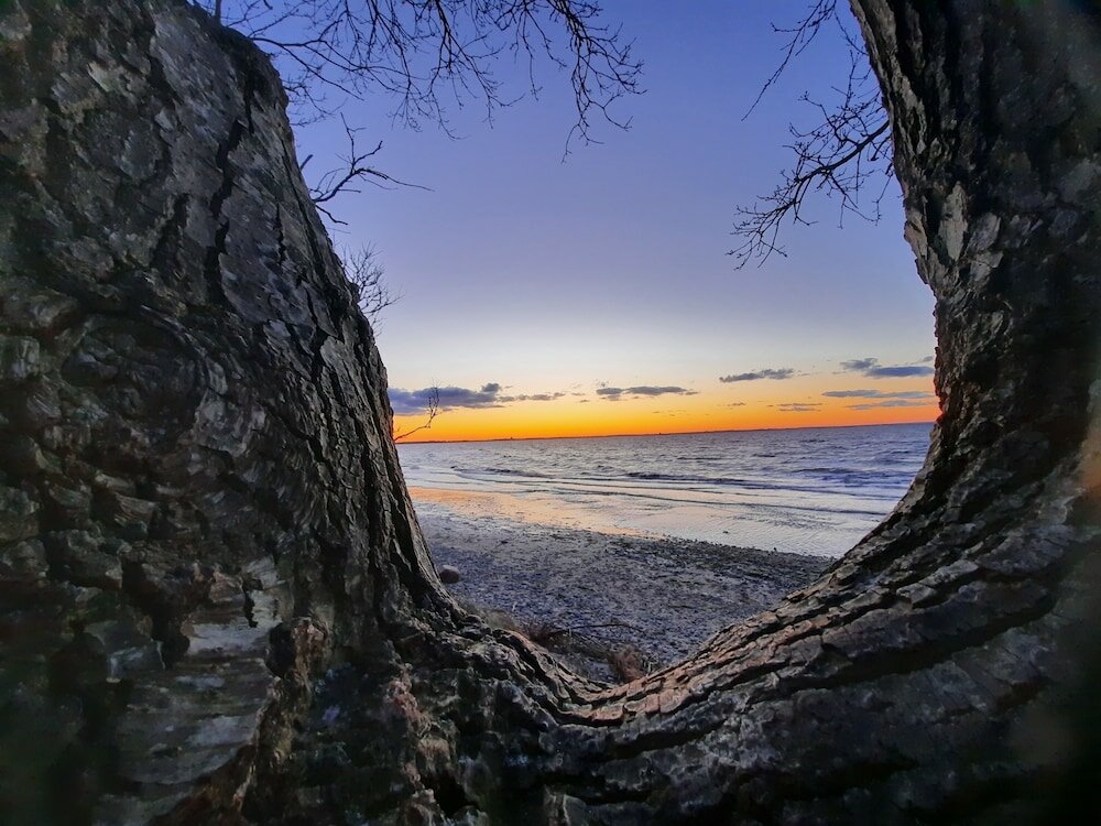 Фото Schlossgut Gross Schwansee