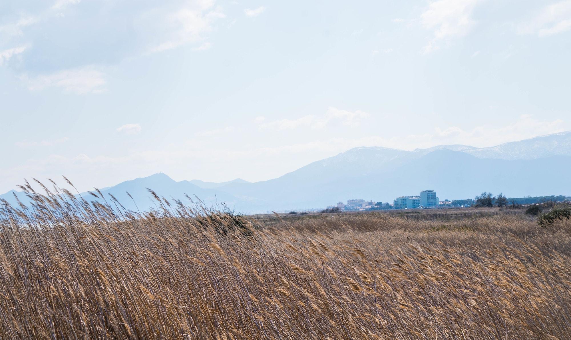 Фото Ibis Styles Perpignan Canet-en-Roussillon