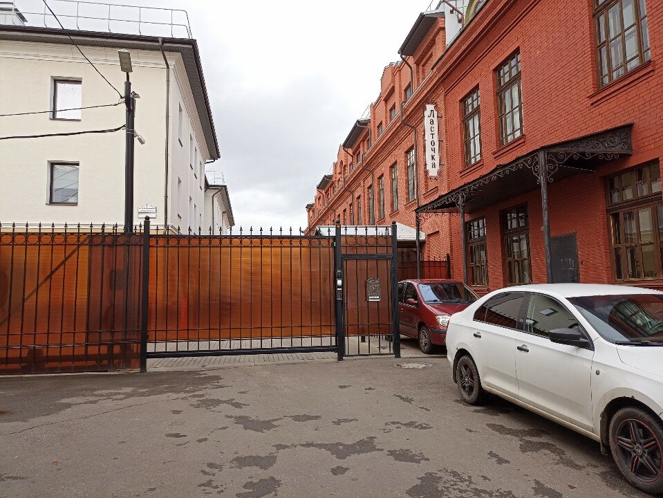 Фото Ласточка