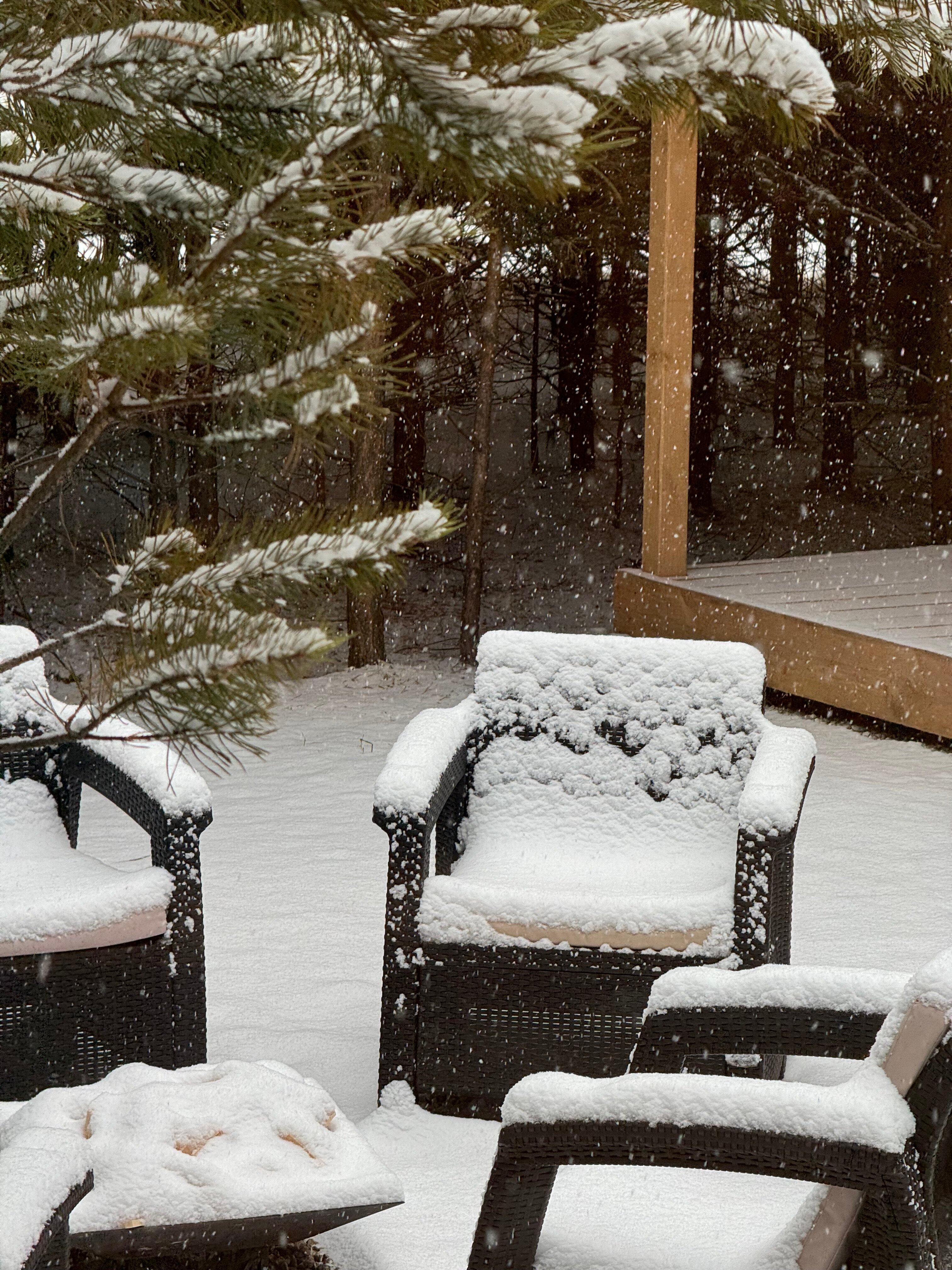 Фото BamBoo Village