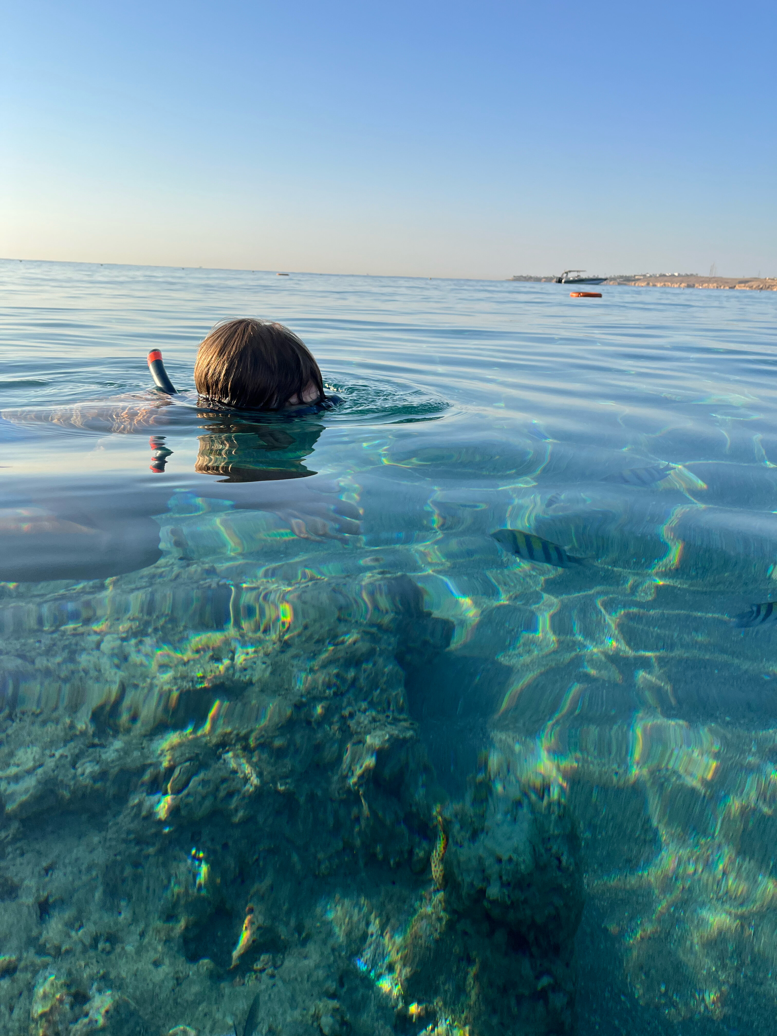 Фото Movenpick Resort Sharm El Sheik 