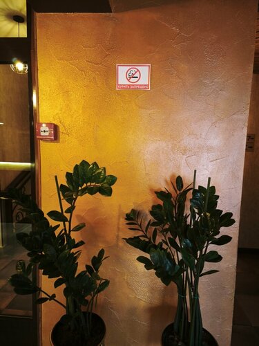 Гостиница М Бутик в Оренбурге