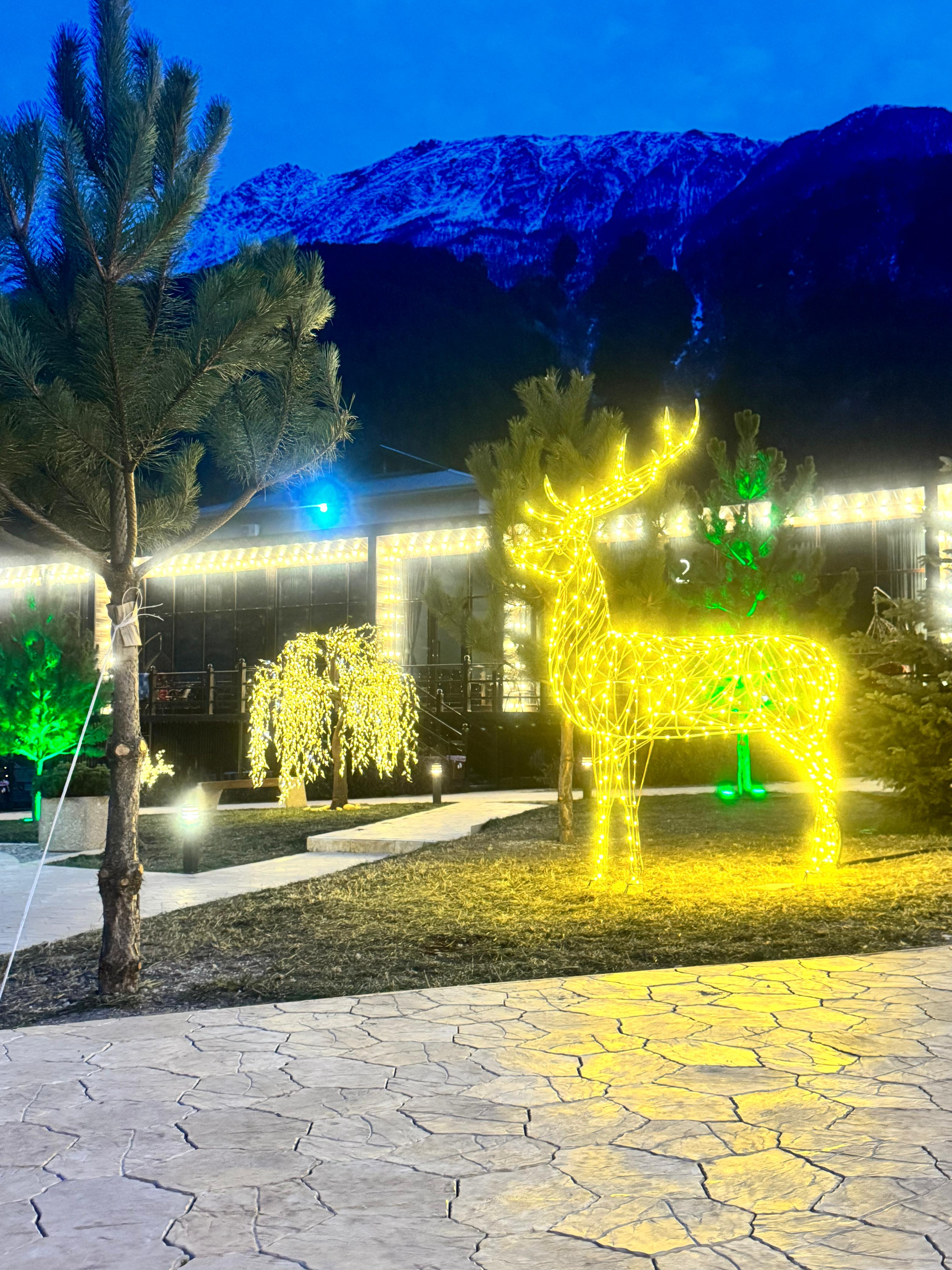 Фото Бордо Хаус