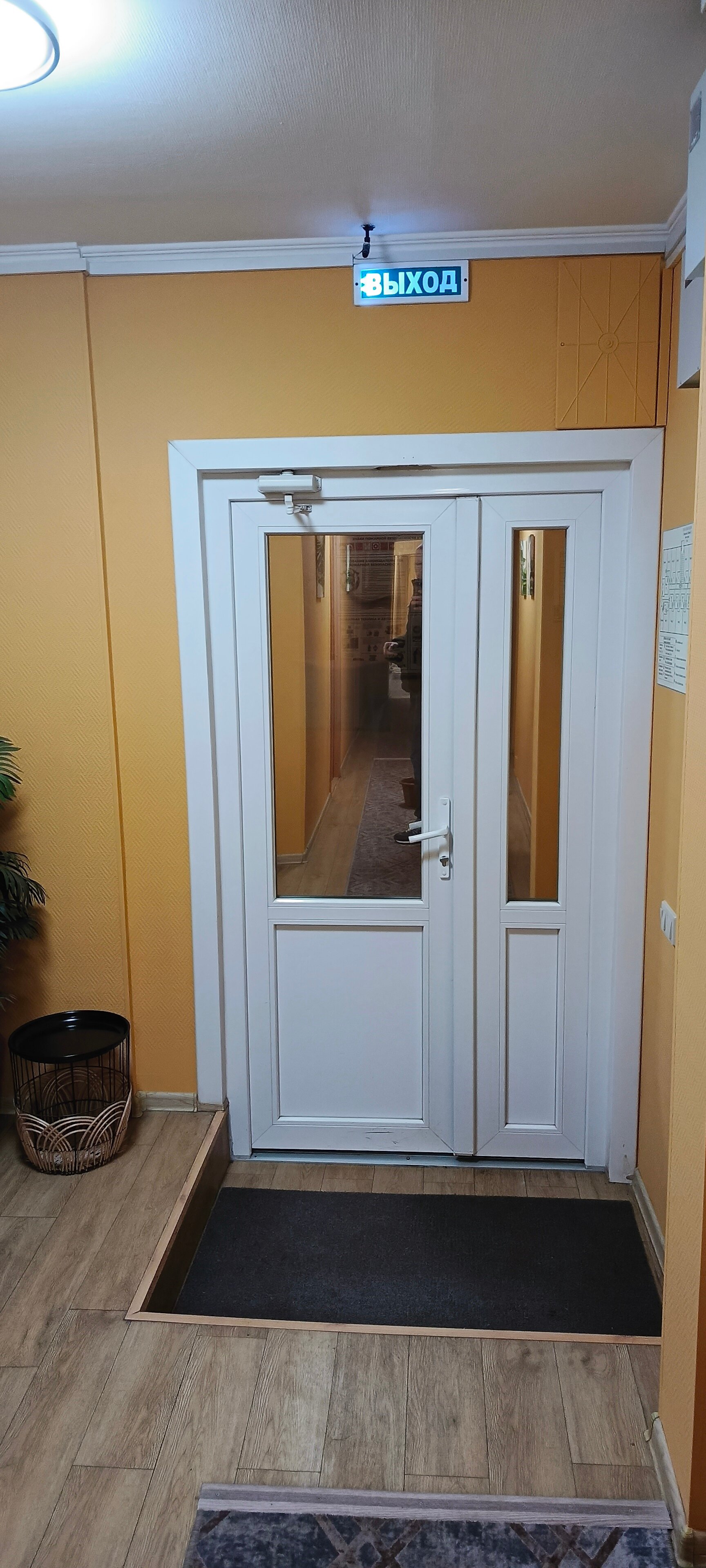 Фото На Вайнера