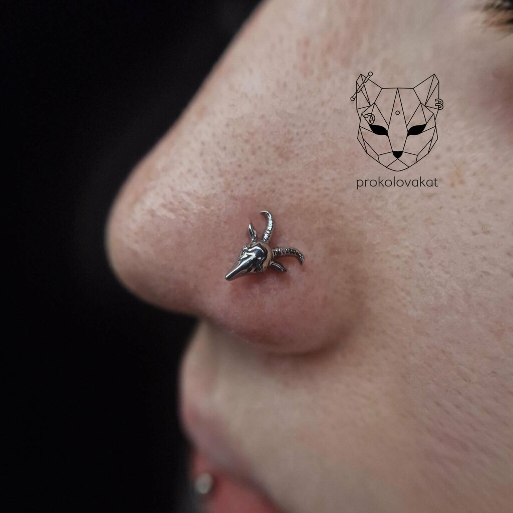 Piercing studio Prokolovakat, Kaliningrad Oblast, photo
