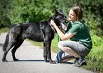 Higher school of dogs (Pavla Korchagina Street, 2), zoo center