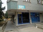 Medusa Aquarium and Bird (Konya, Meram, Aşkan Mah., Meltemler Sok., 12) ، متجر للحيوانات الأليفة
