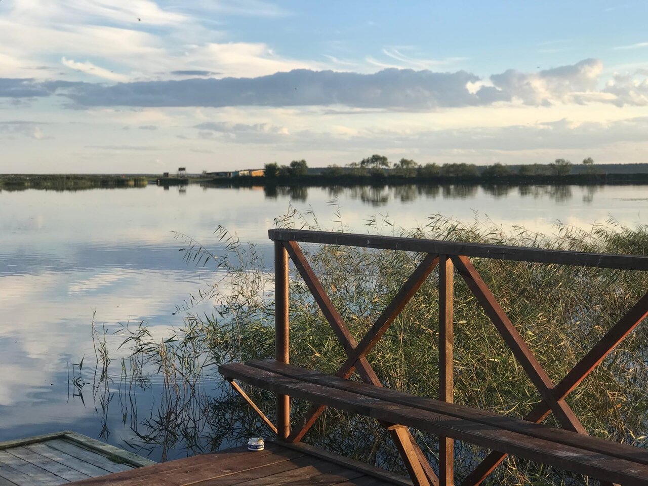 Фото Катрин