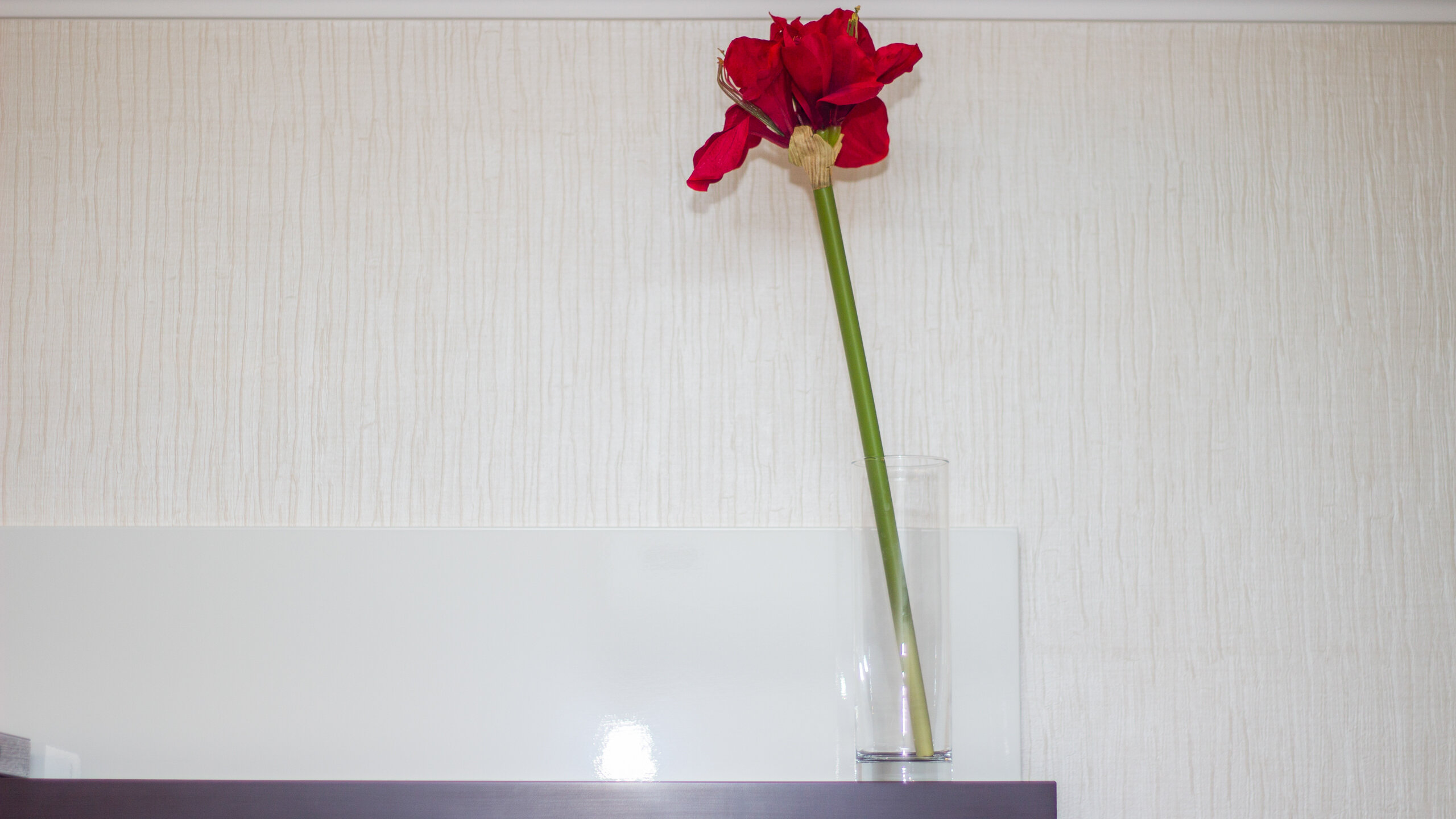 Фото Много квартир на улице 2-й переулок Мира 24