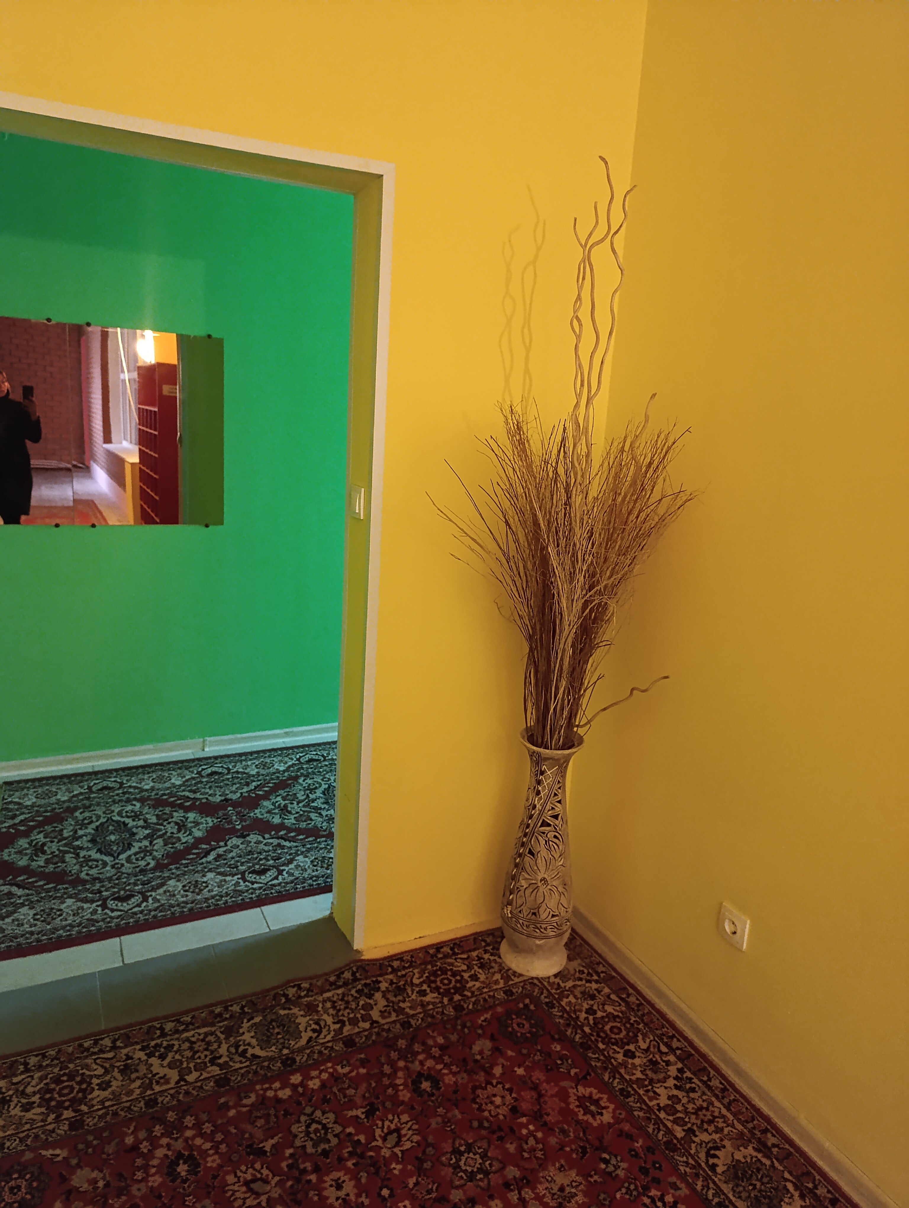 Фото Белый дом