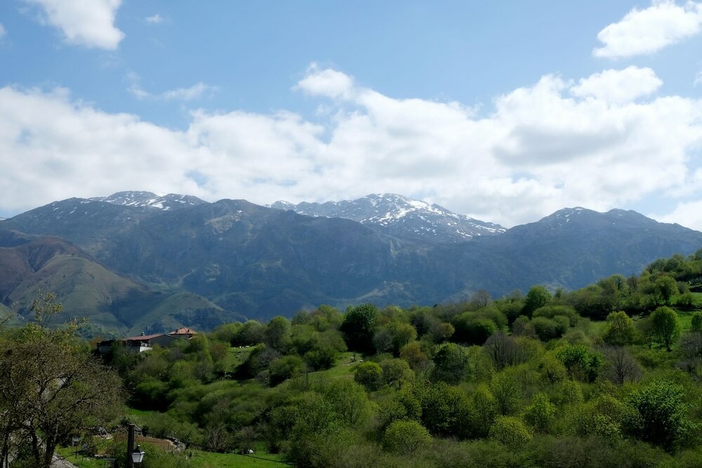 Фото La Terraza de Picos