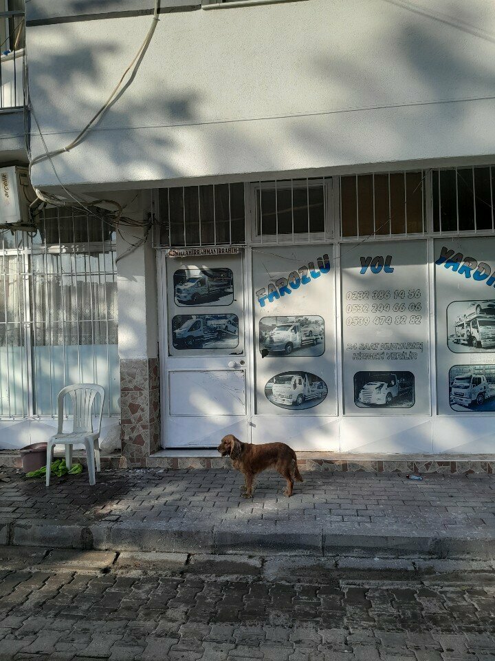 Auto technical assistance, car evacuation Farozlu Auto Rescue, Izmir, photo