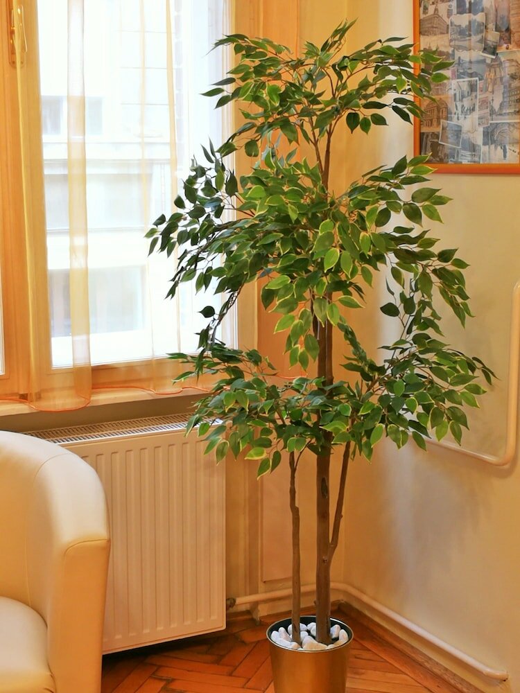 Фото Paprika Apartman