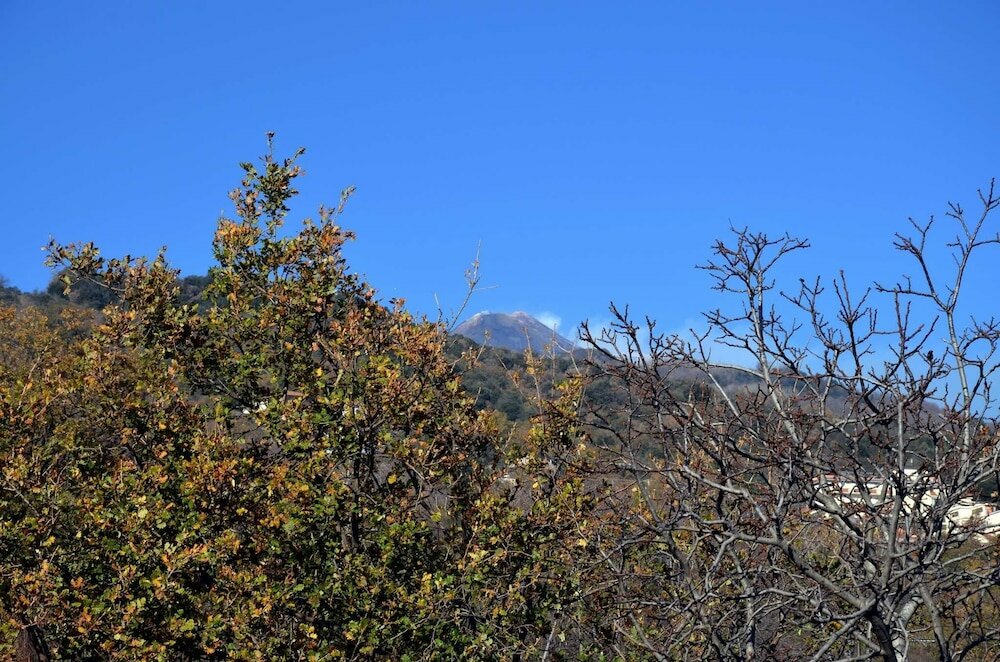 Фото B&b Villa Hirschen