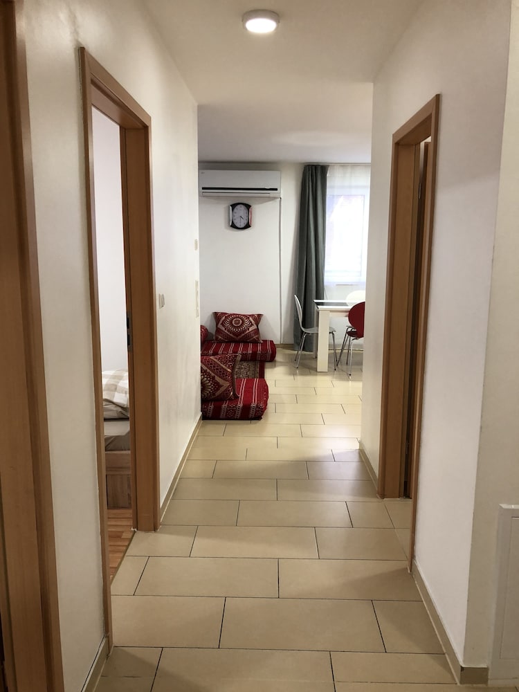 Фото Sahara Falcon