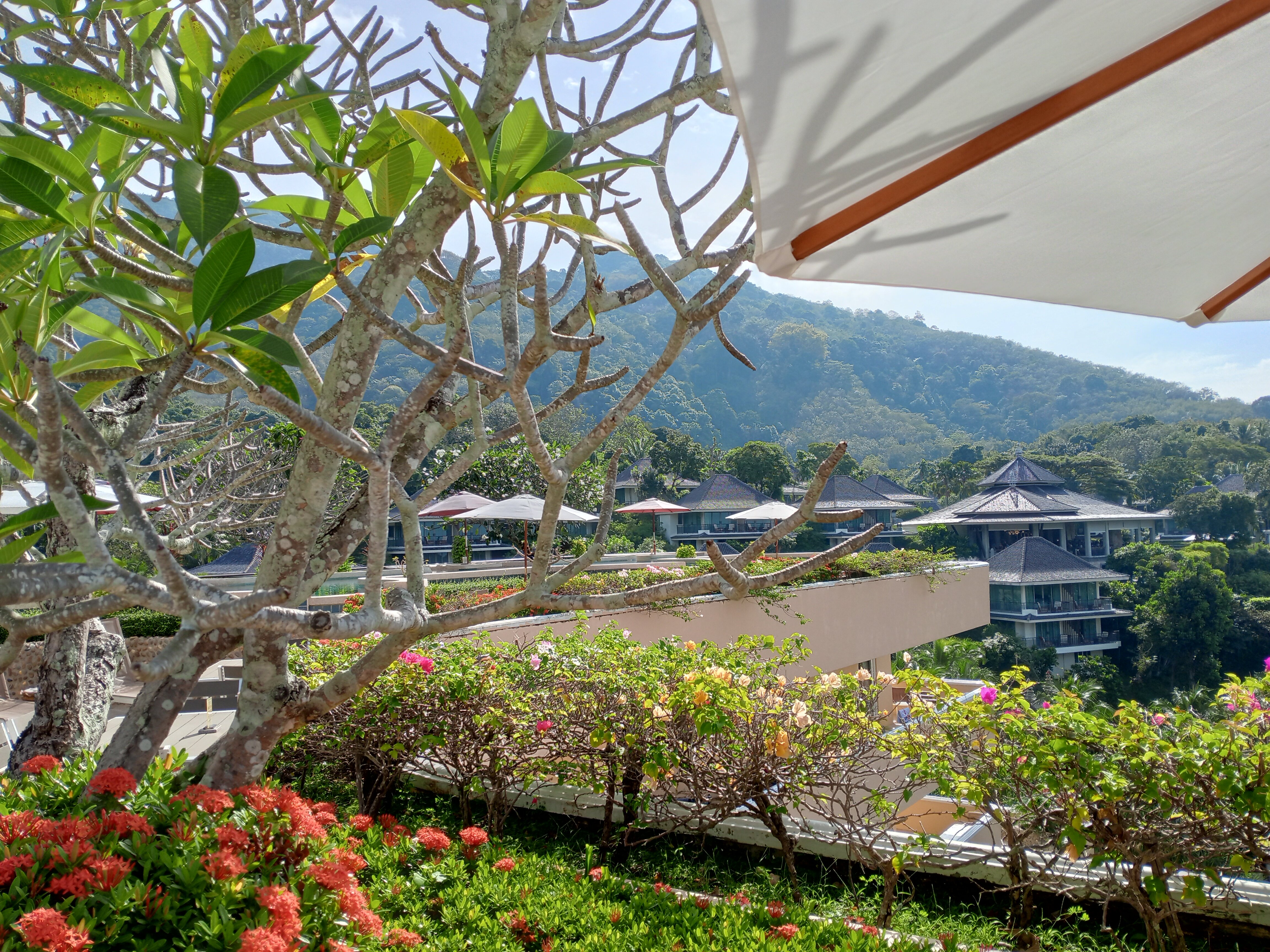 Фото Pacific Club Resort