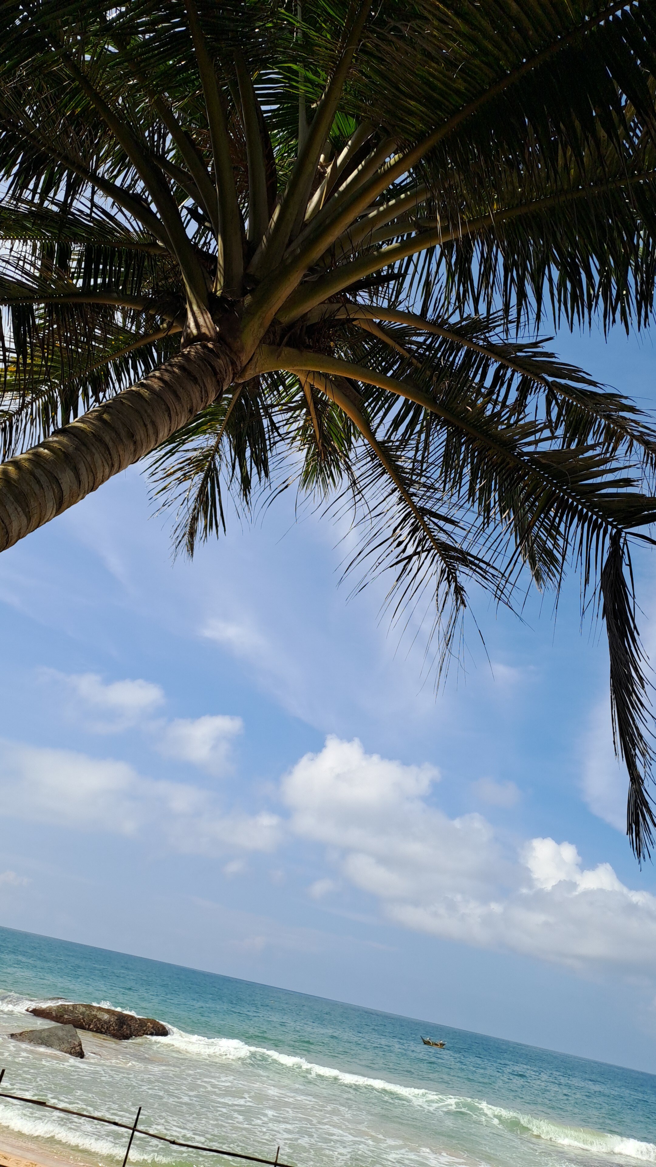 Фото Ramon Beach Resort