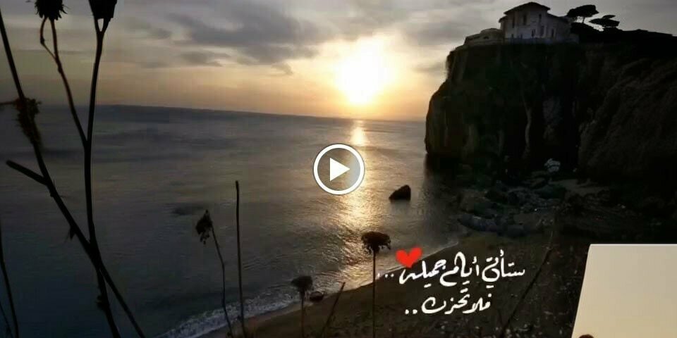 Computer repairs and services Apollo, Mersin, photo