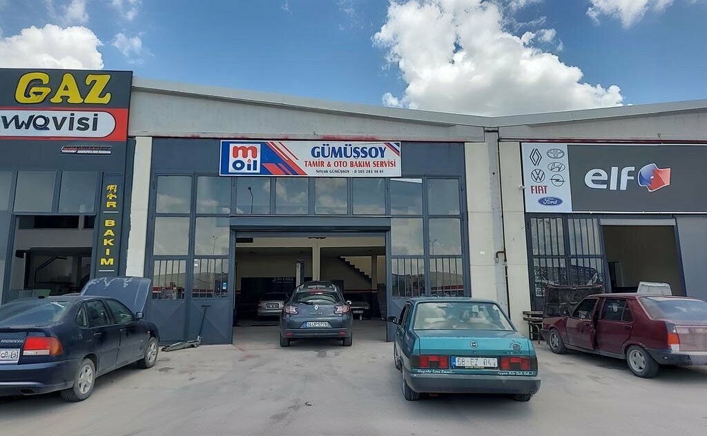 Car service, auto repair Auto Gumussoy, Aksaray, photo