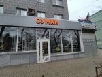 Стильные сумки (Moskovskiy Avenue, 68) ، أكياس وحقائب السفر