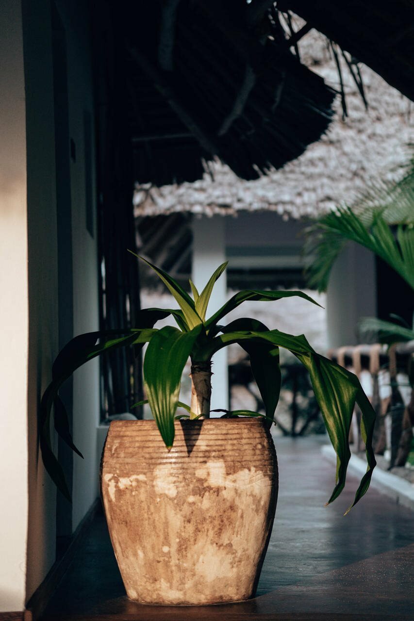 Фото Sahari Zanzibar